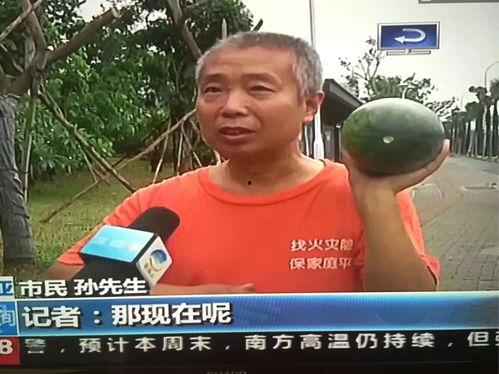 全网最新吃瓜网热门事件