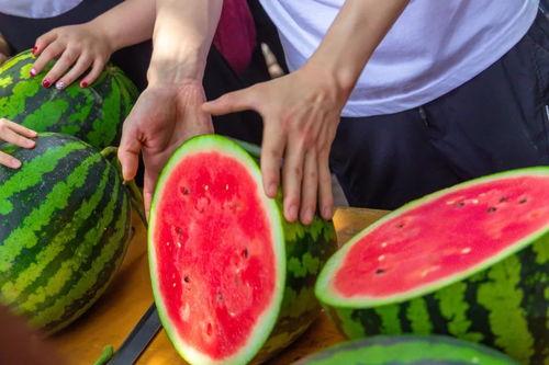 医科学校吃瓜爆料,吃瓜爆料揭露惊人真相